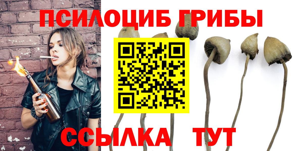 Псилоцибиновые грибы Cubensis Калининград